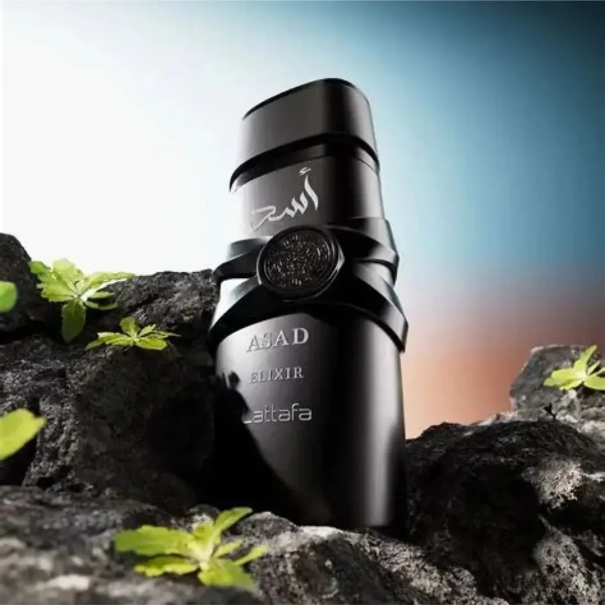 Asad Elixir EDP 100 ml