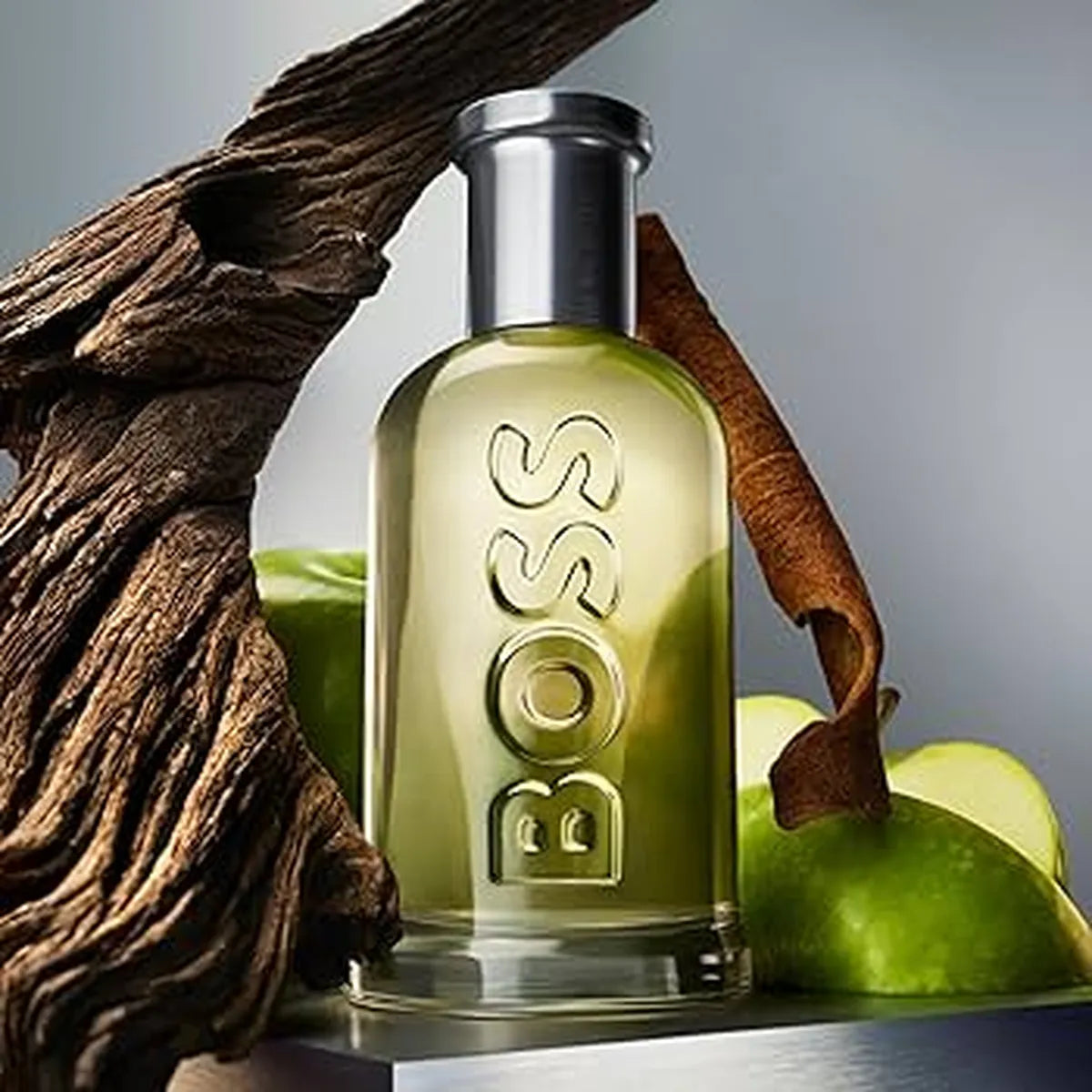BOSS BOTTLED EDT 100ML