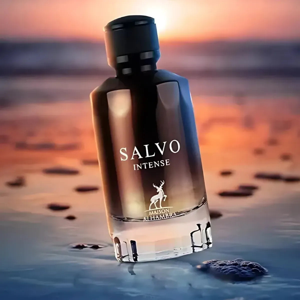 Salvo Intense EDP 100 ml