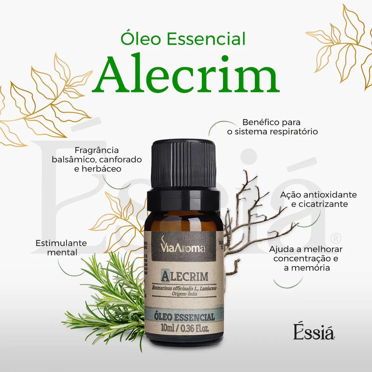 Óleo Essencial Alecrim Via Aroma – 10 ml