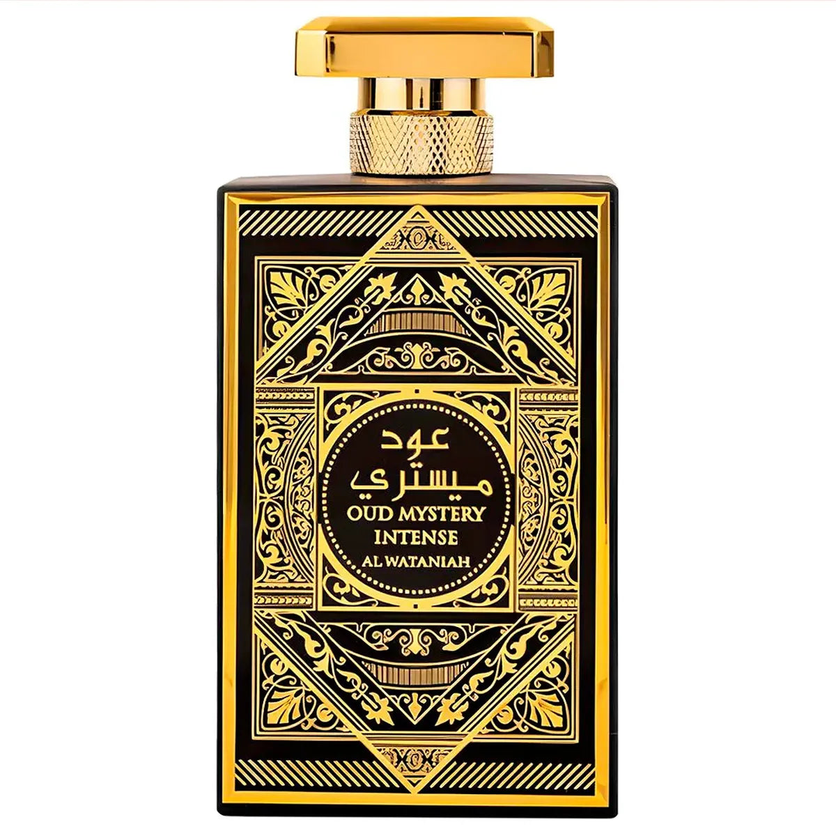 Oud Mystery Intense EDP 100 ml