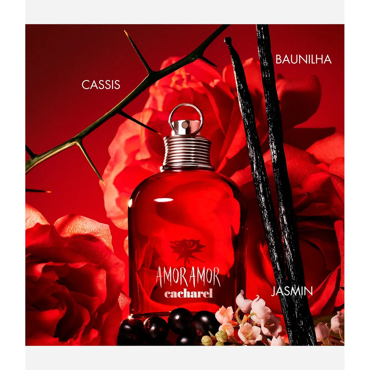 AMOR AMOR EDT 30ML