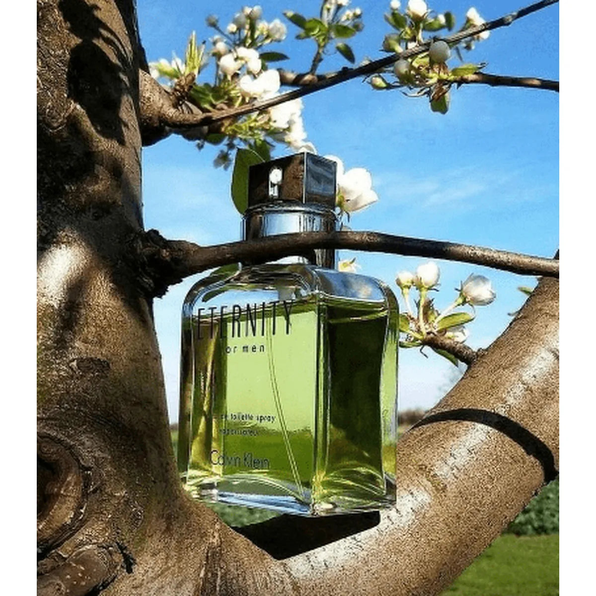 Eternity Eau de Toilette 100 ml