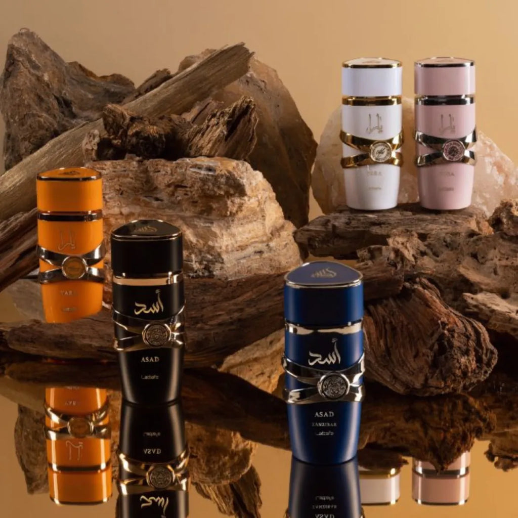 Asad Zanzibar EDP 100 ml