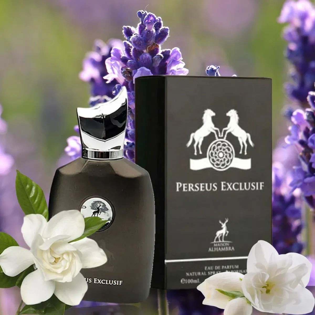 Perseus EDP 100 ml