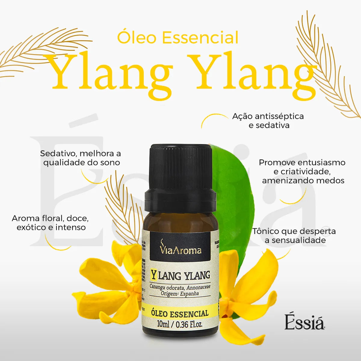 Óleo Essencial Ylang Ylang Via Aroma – 10 ml
